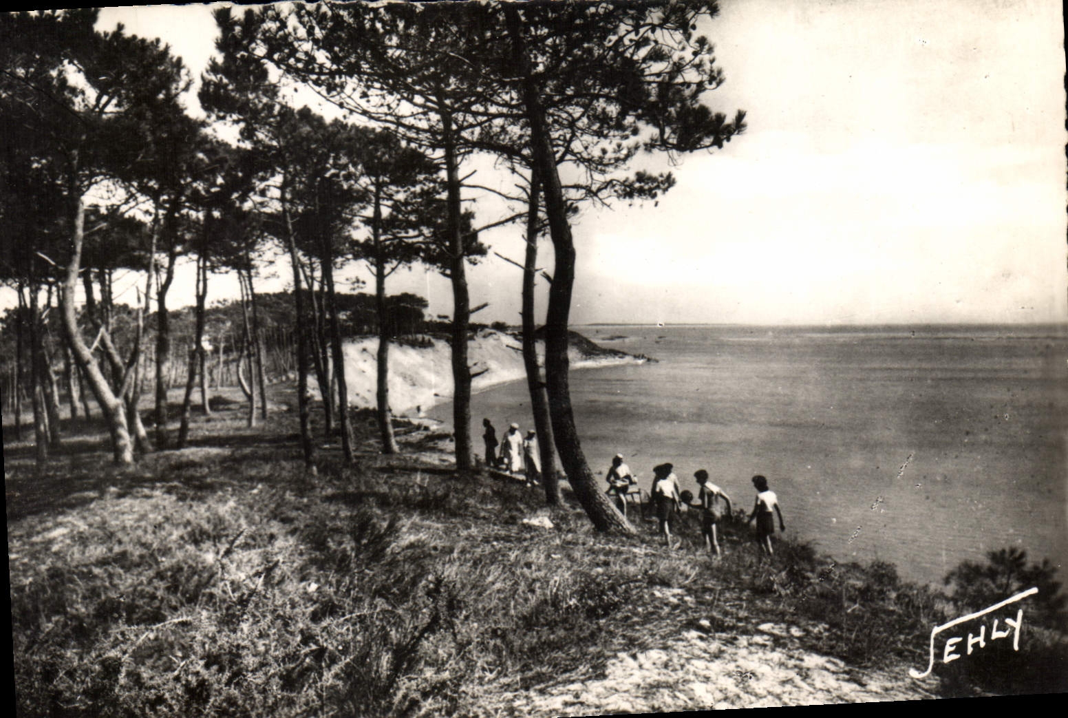 CPM entre la Tranche sur Mer et la Faute sur Mer Le Belle Henriette