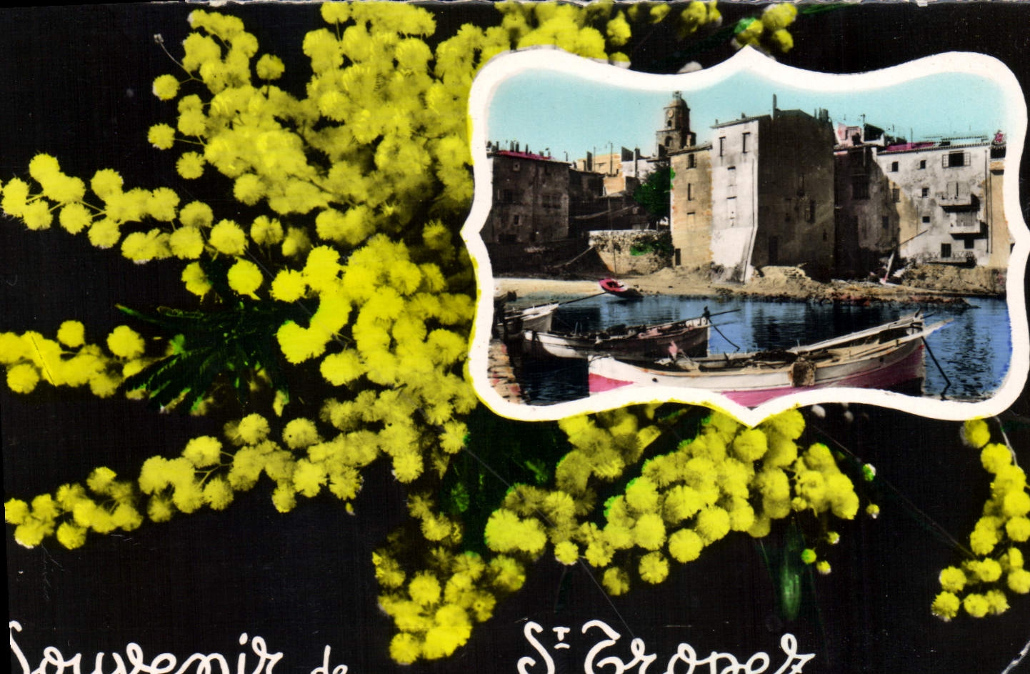 CPA Souvenir de St Tropez La Cote d'Azur 