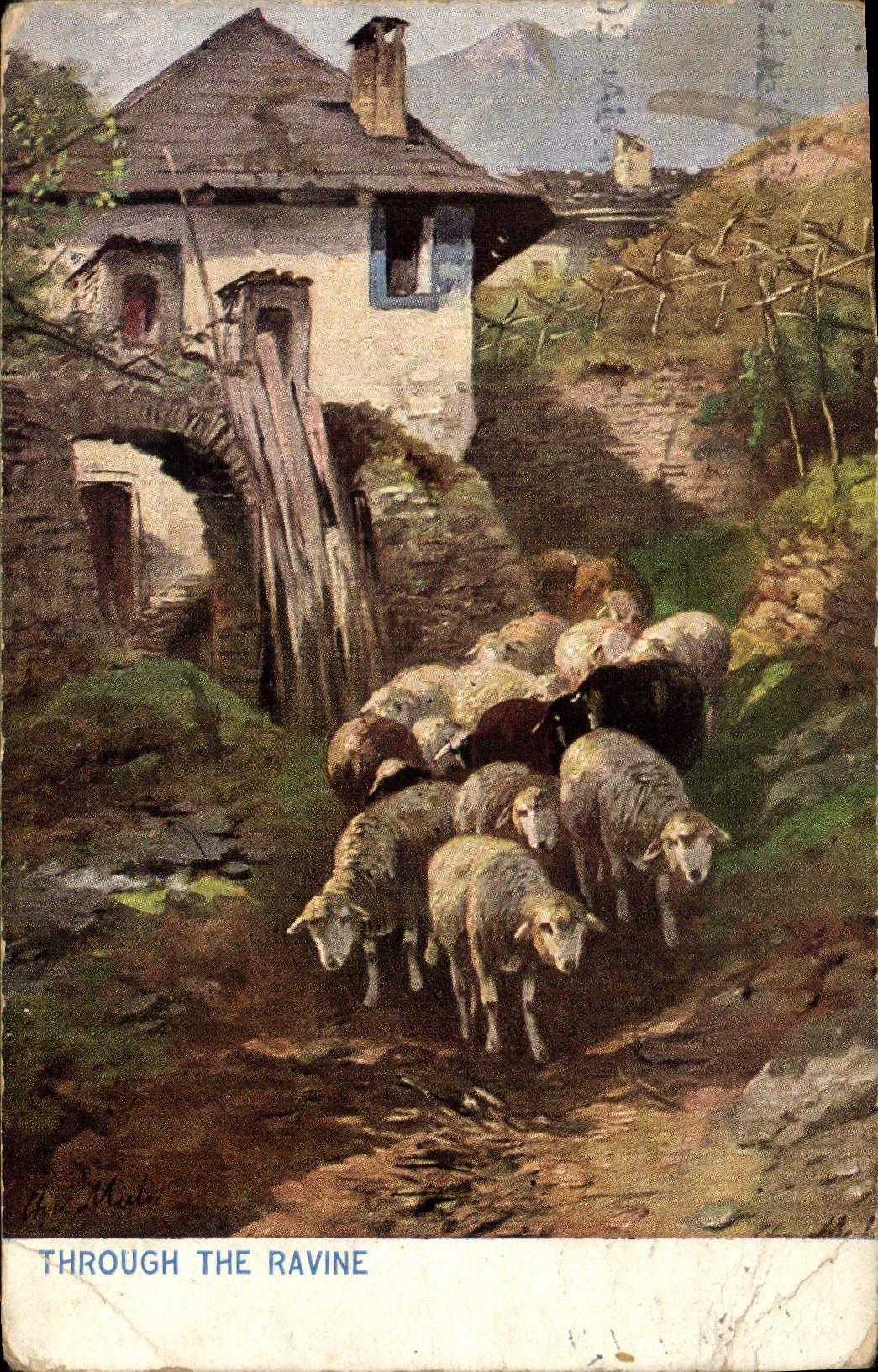 CPA Through the Ravine 