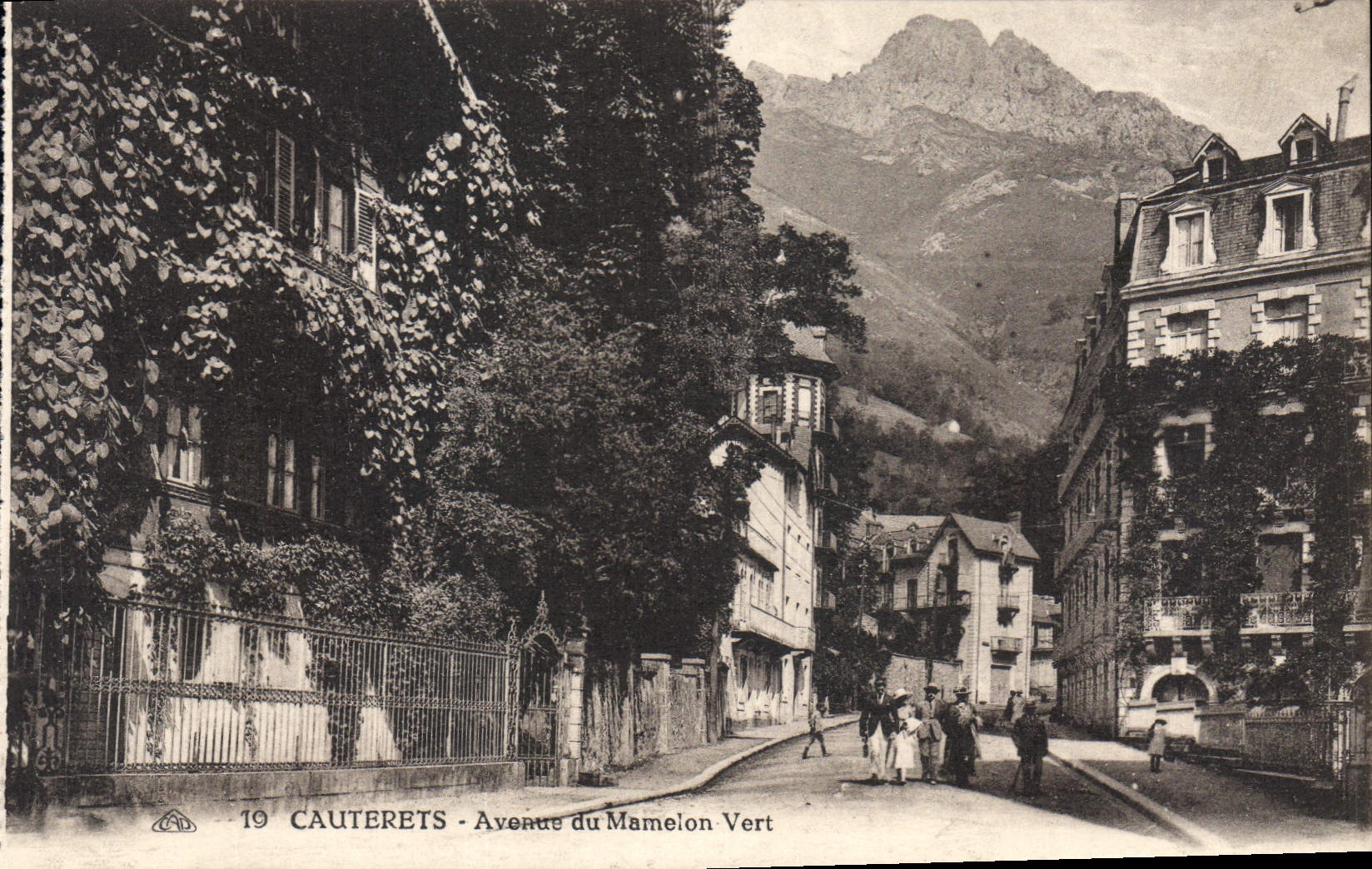 CPA Cauterets Avenue du Mamelon Vert 