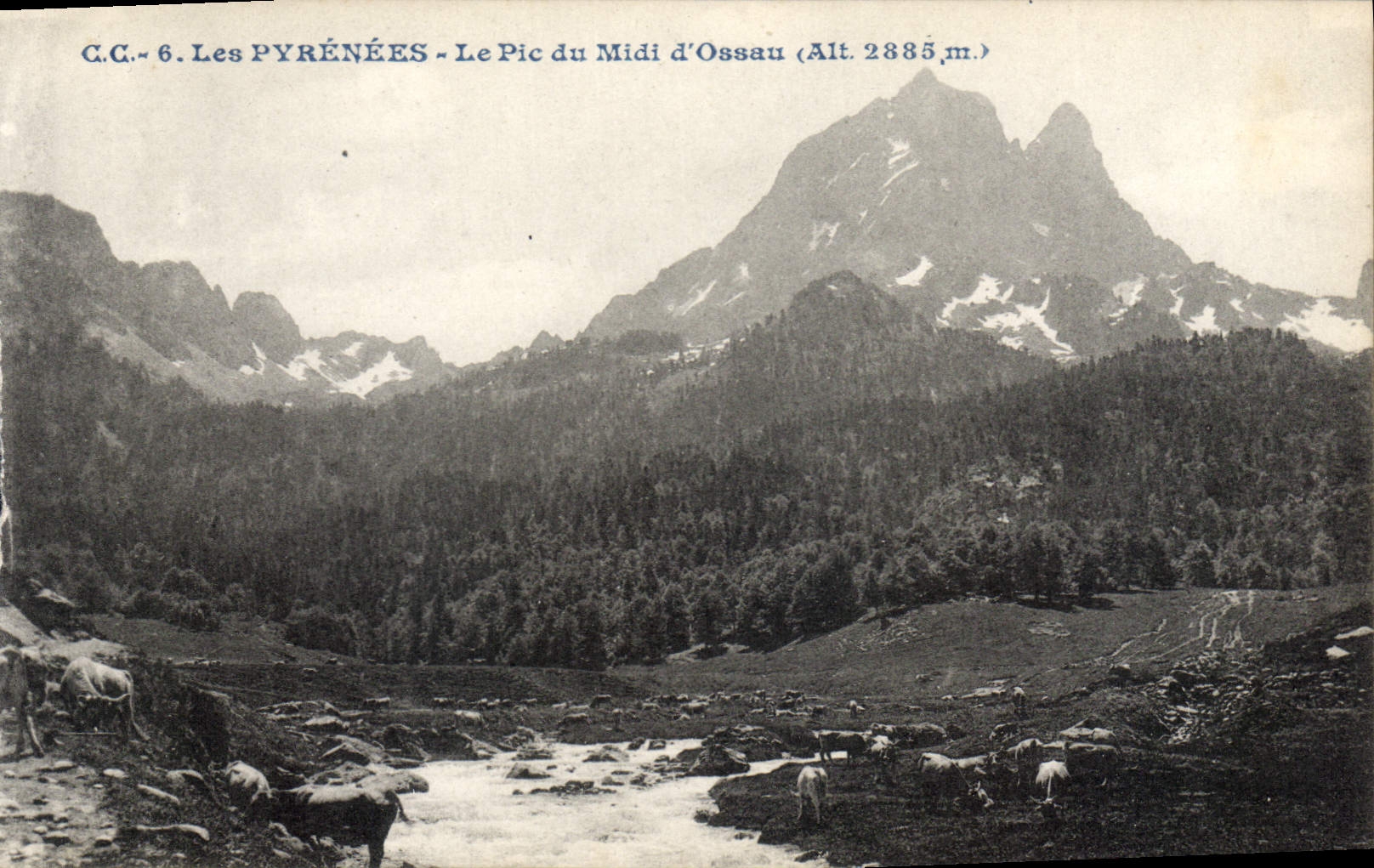 CPA Les Pyrenees le Pic du Midi d'Ossau