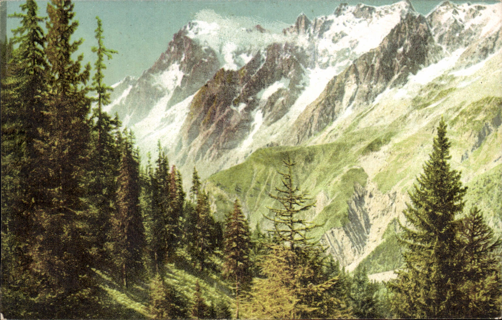 CPA Fotocromia Terni Foret