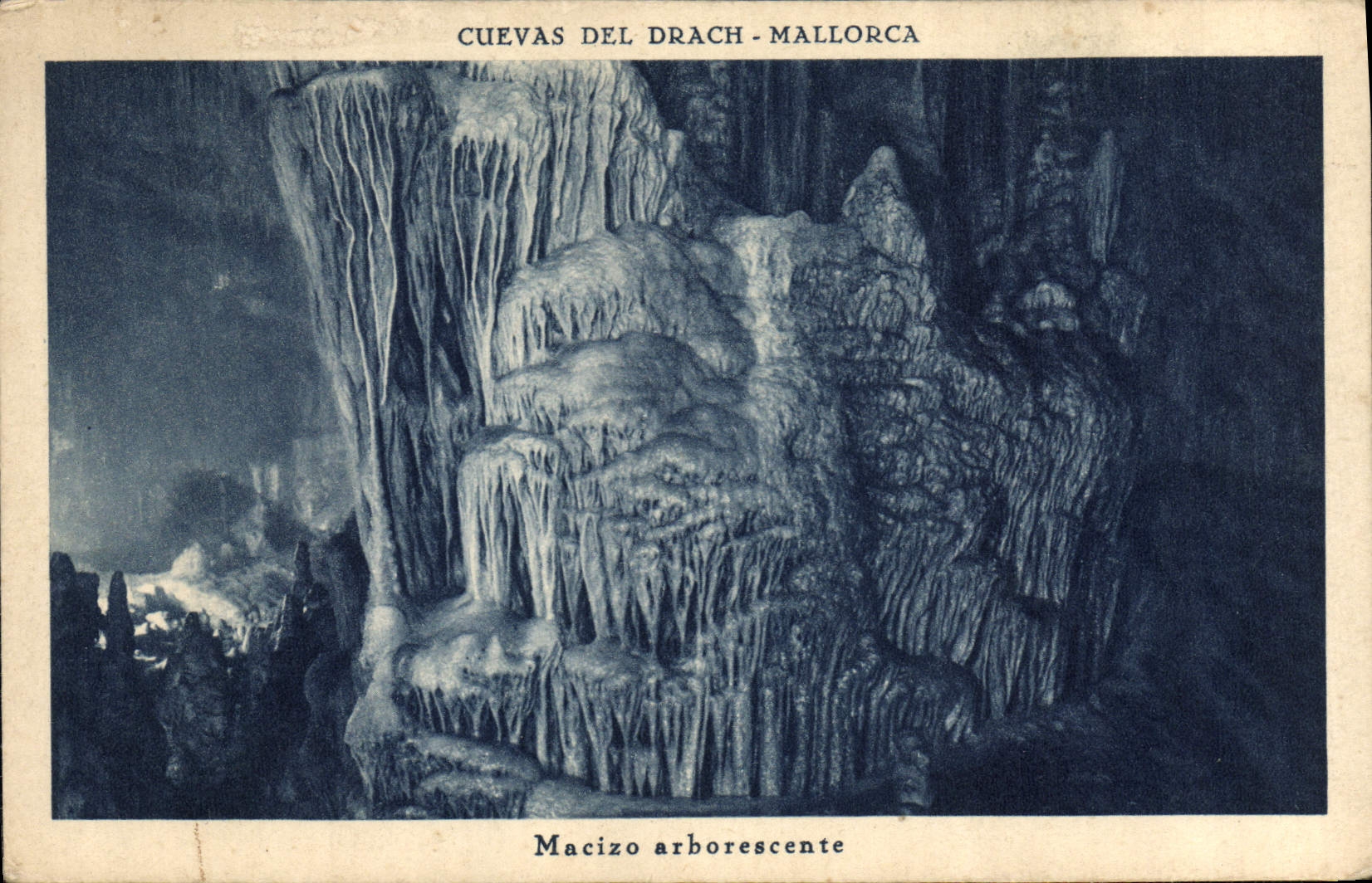 CPA Cuevas del Drach Mallorca Macizo arborescente 