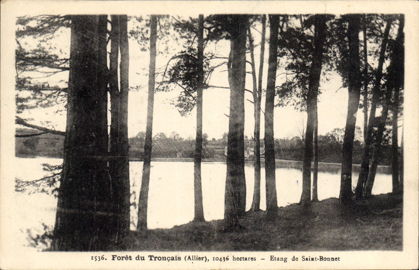 CPA Foret du Troncais Allier Etang de Saiat Bonnet
