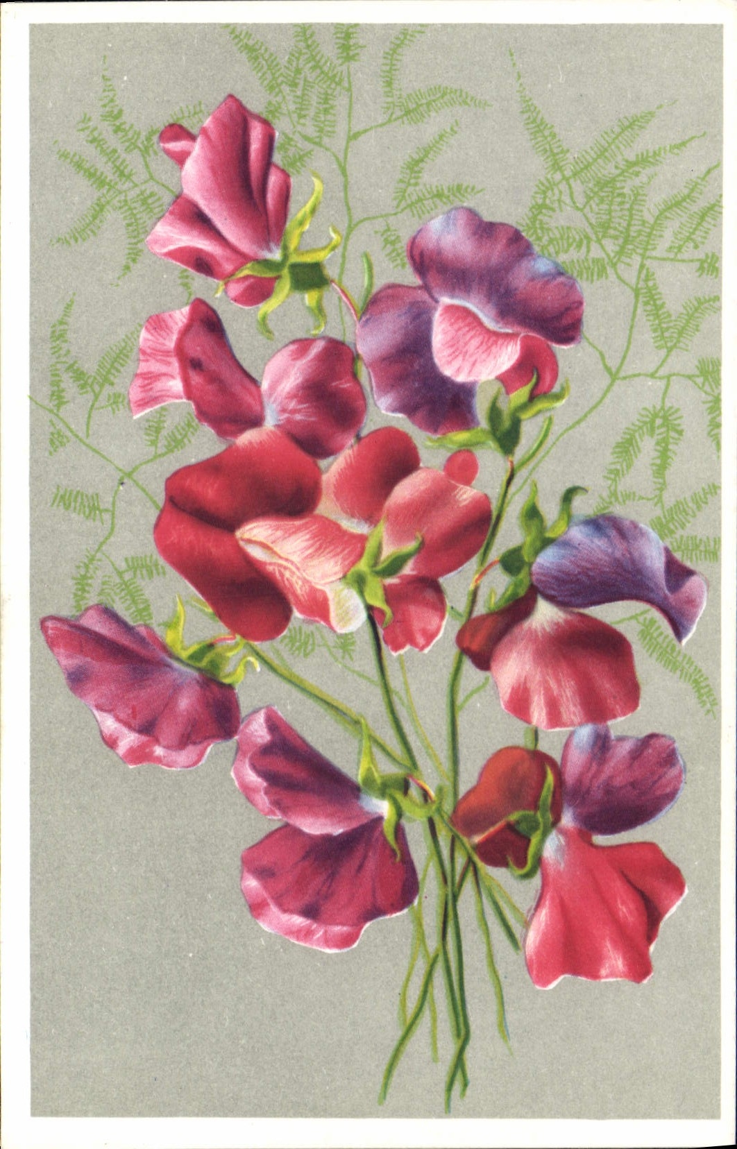 CPA Fantaisie Fleurs