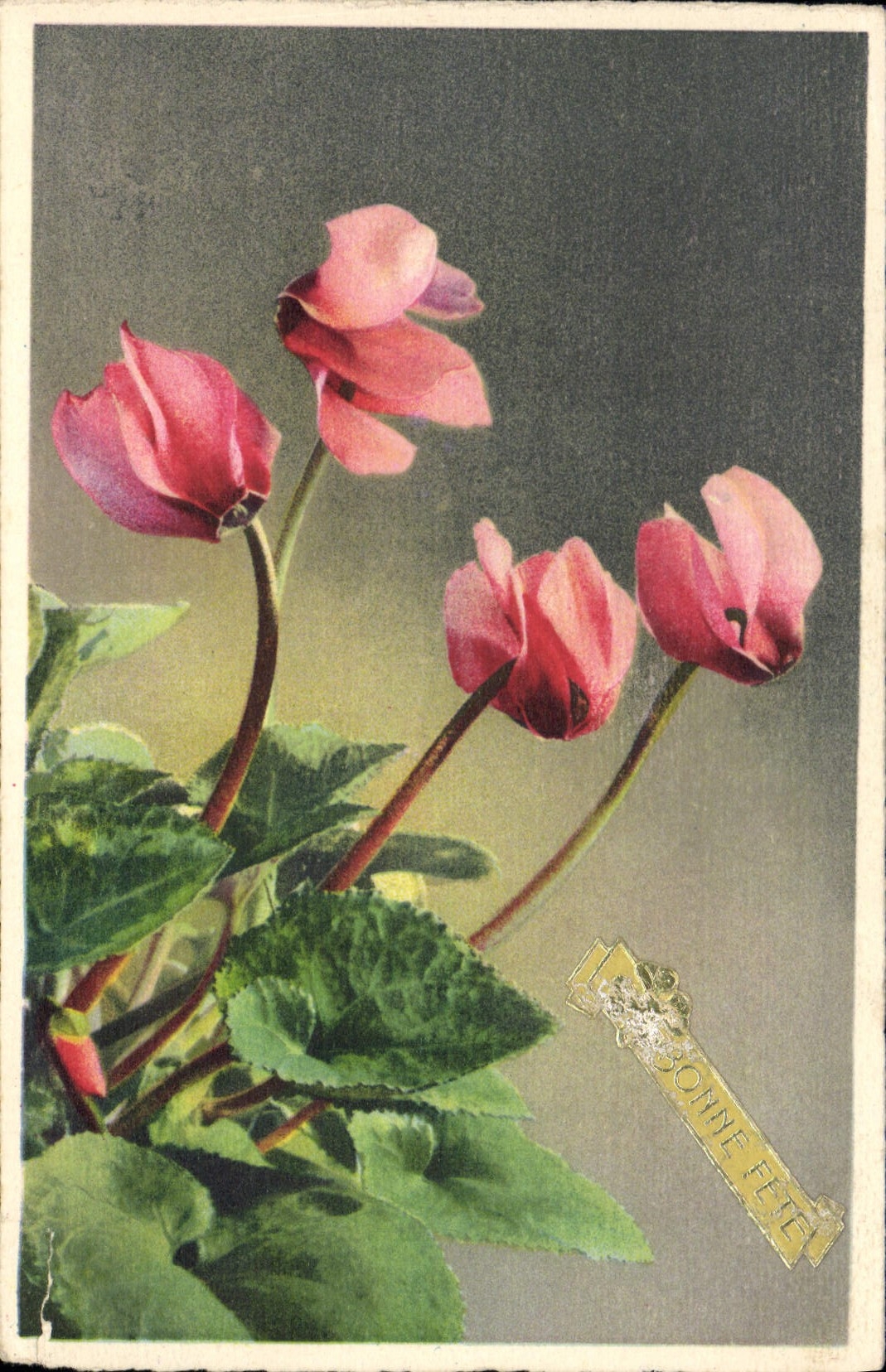 CPA Bonne fete Fleurs