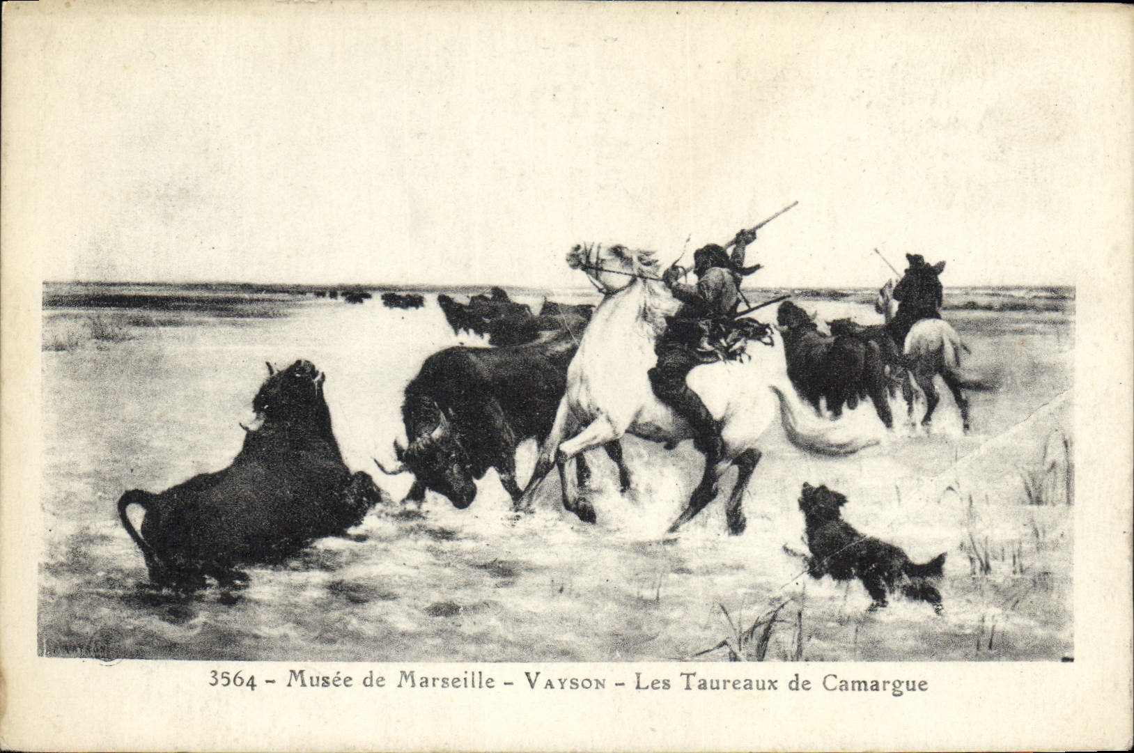 CPA Musee de Marseille Vayson Les Taureaux de Camargue Chien