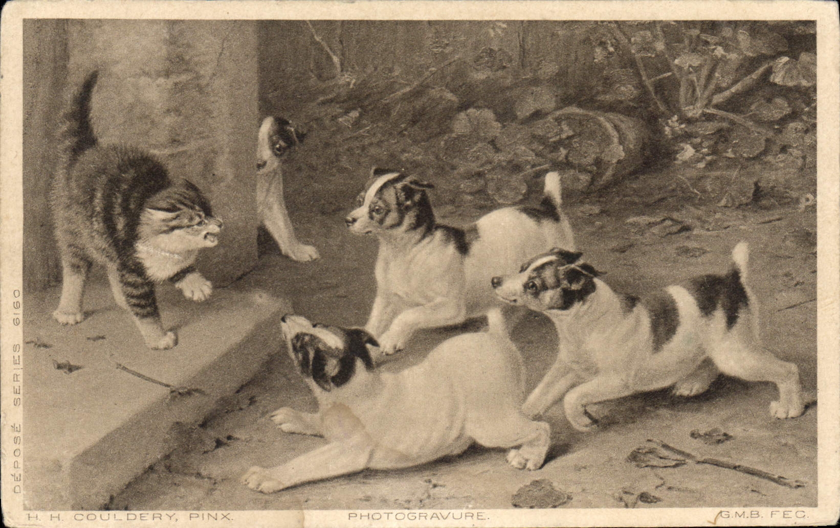 CPA Chat Chiens