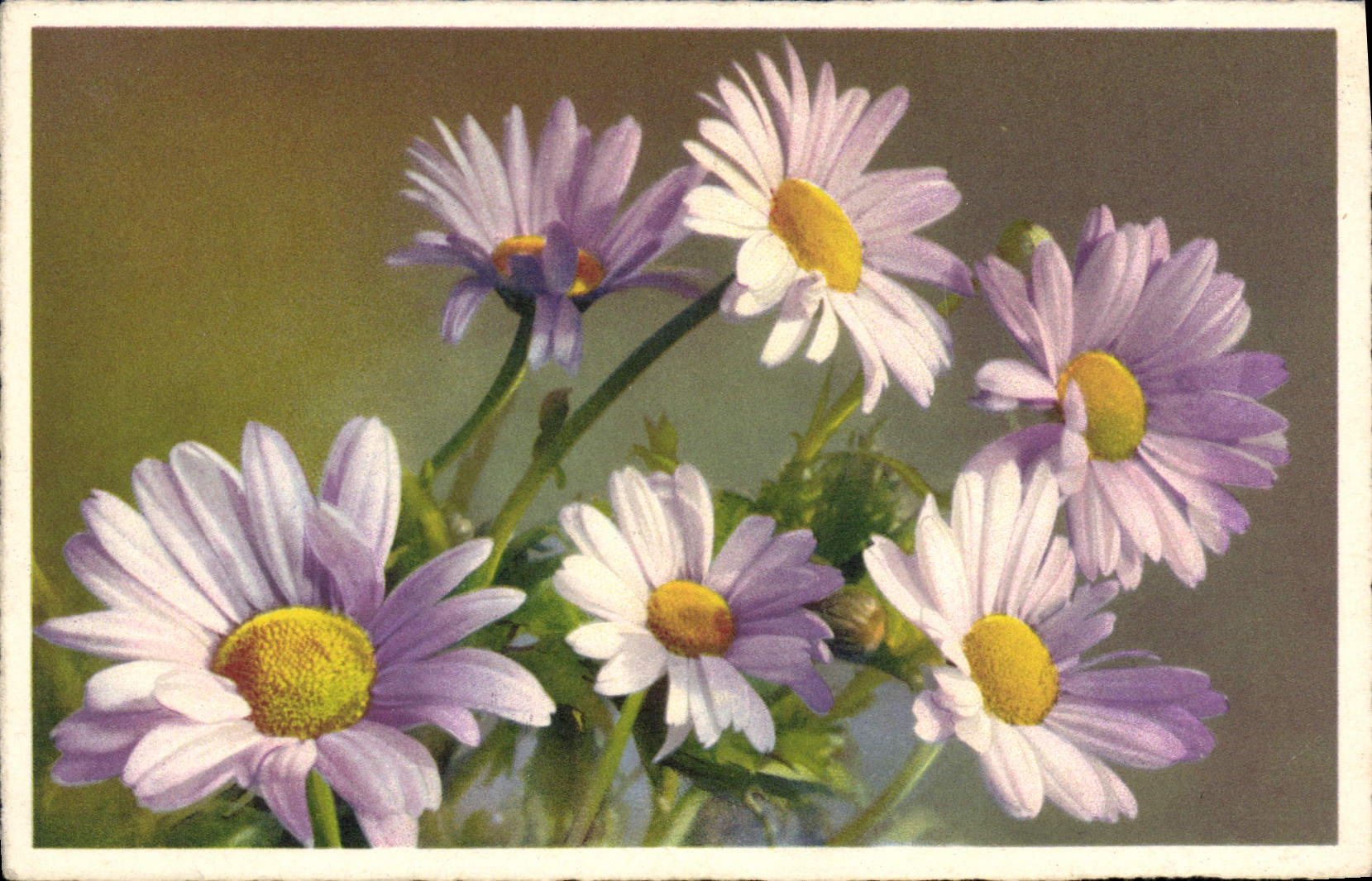 CPA Fantaisie Fleurs