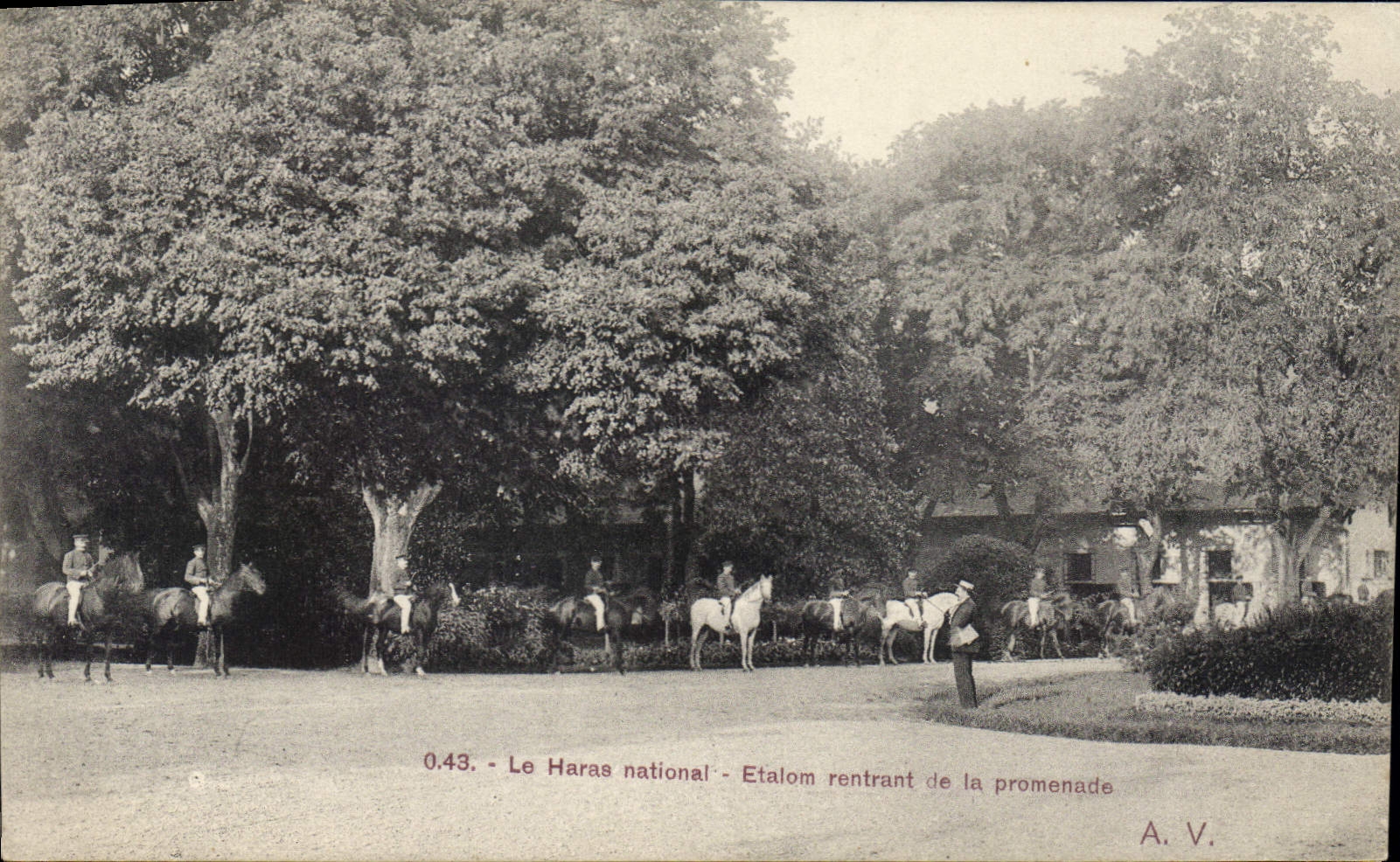 CPA Le Haras national Etalom rentrant de la promenade Chevaux
