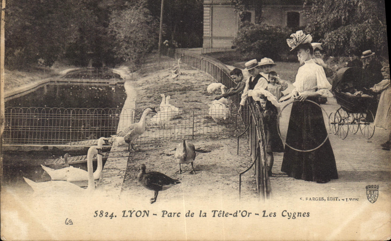 CPA Lyon Parc de la Tete d'Or Les Cygnes 