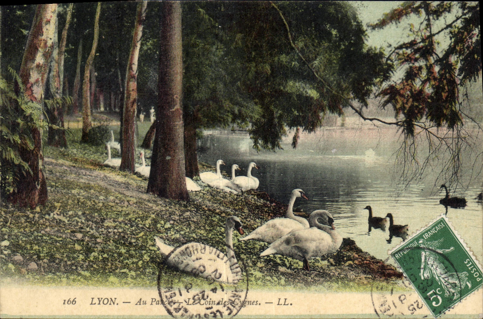 CPA Lyon Au Parc Le Coin des Cygnes 