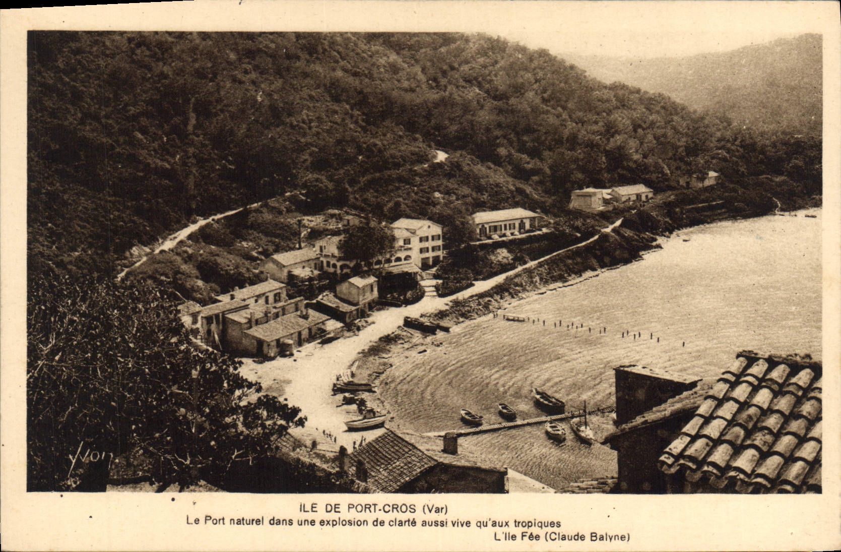 CPA Ile de Port Cros Car Le Port naturel dans une exposion de clarte aussi vive qu'aux tropiques l'I