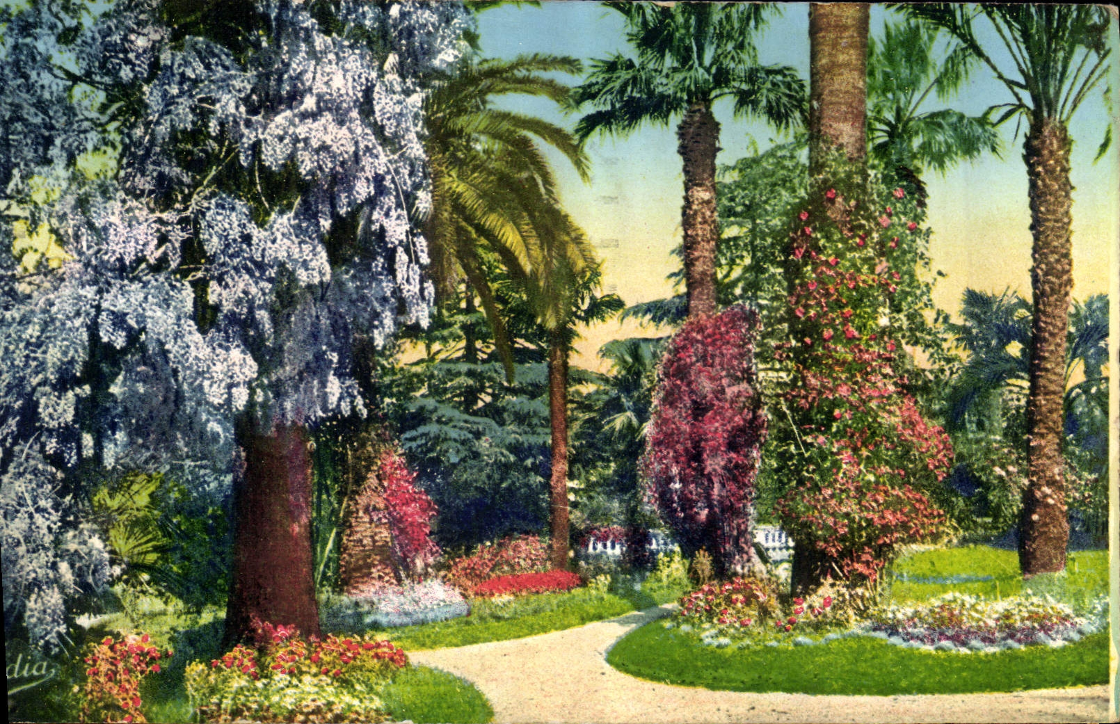 CPA La Cote d'Azur Jardin Fleuri