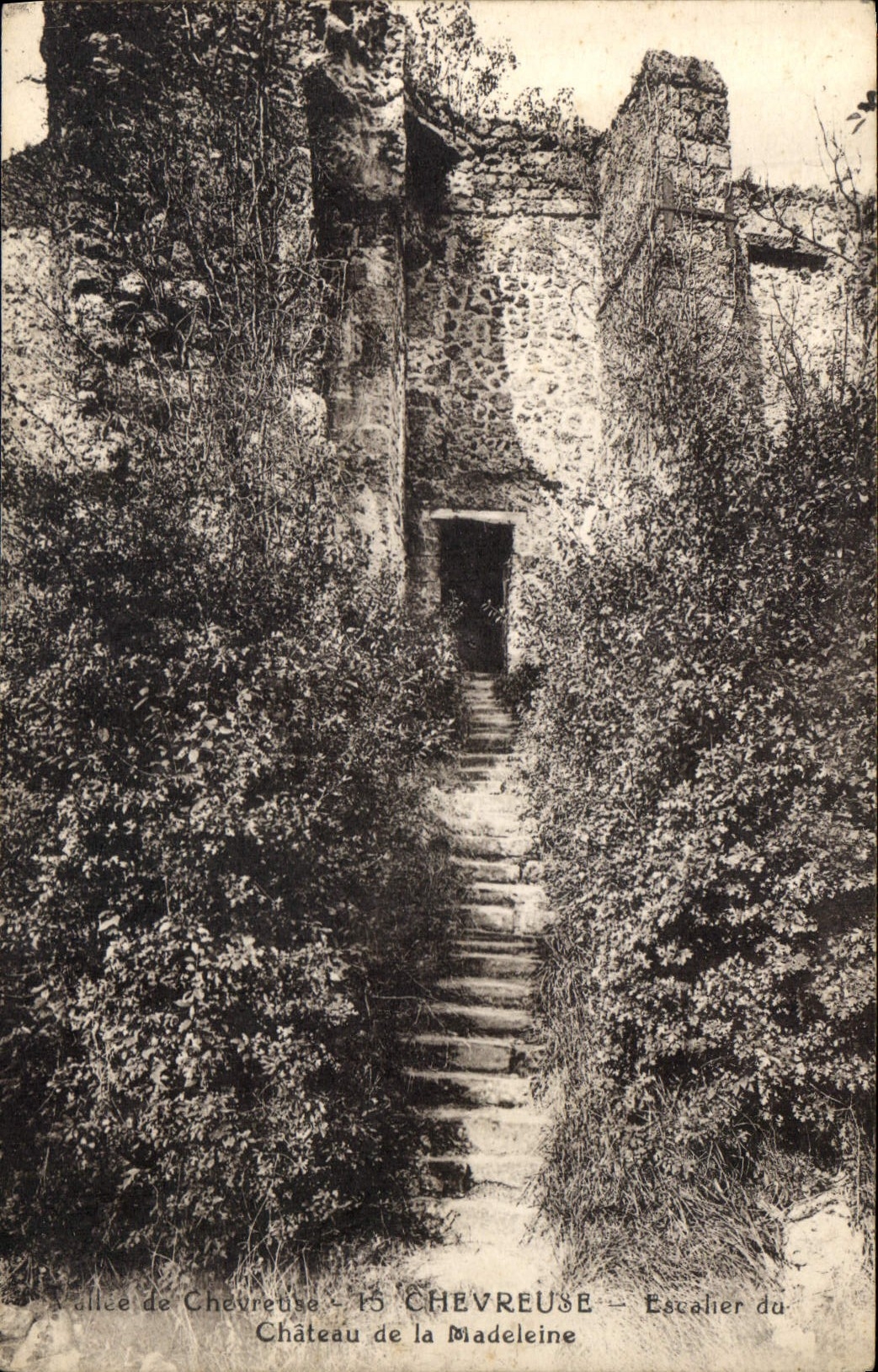 CPA Chevreuse Escalier du Chateau de la Madeleine