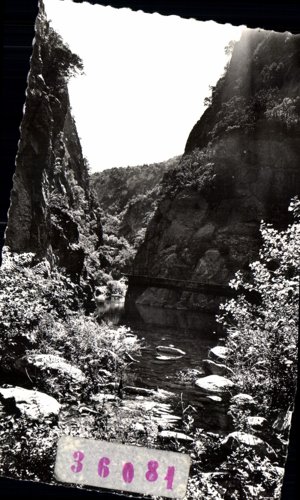 CPA Amelie les Bains PO Perle des Pyrenees Contre jour sur les Gorges du Mondony 