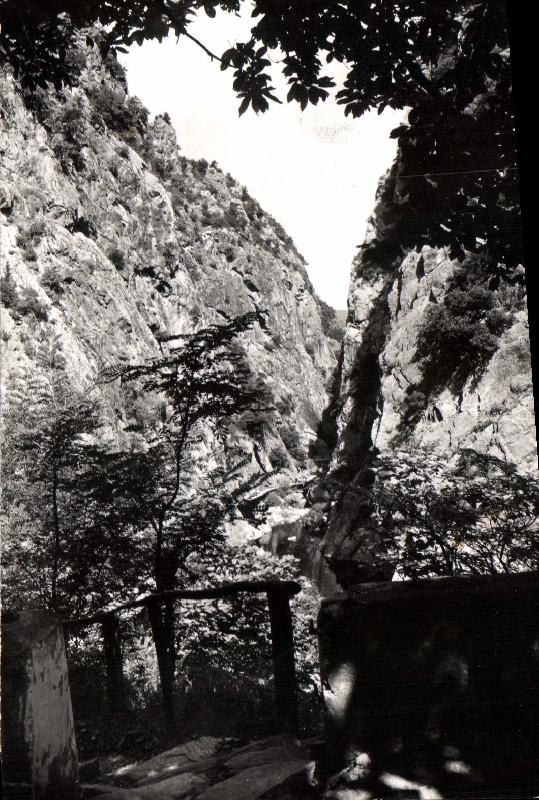 CPA Amelie les Bains PO Gorges du Mondony 