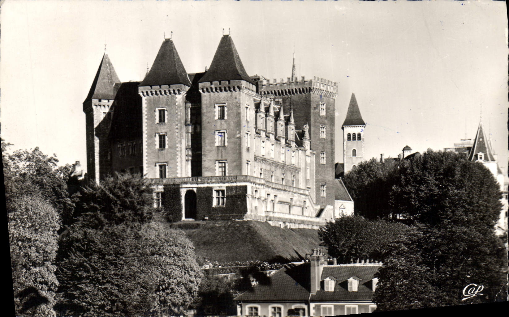 CPA Pau Le Chateau vu du Parc 