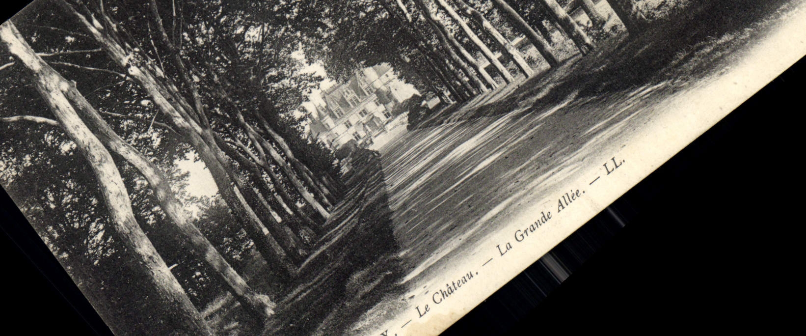 CPA Le Chateau La Grande Allee Chenonceaux