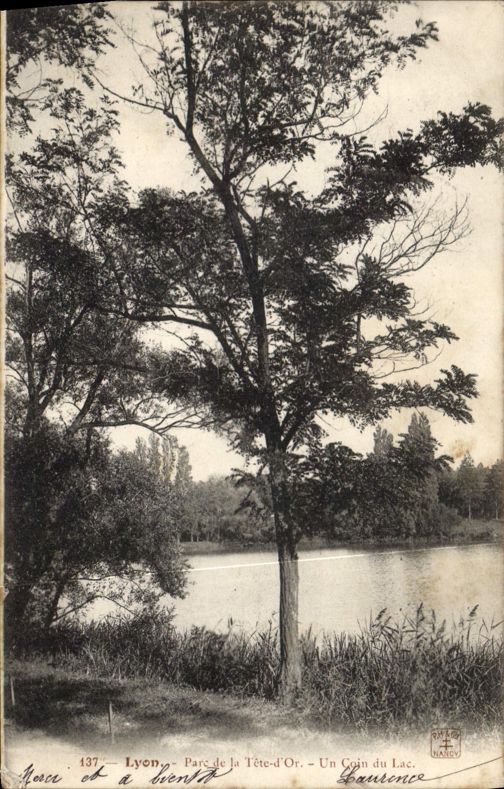 CPA Lyon Parc de la Tete d'Or Un Coin du Lac 