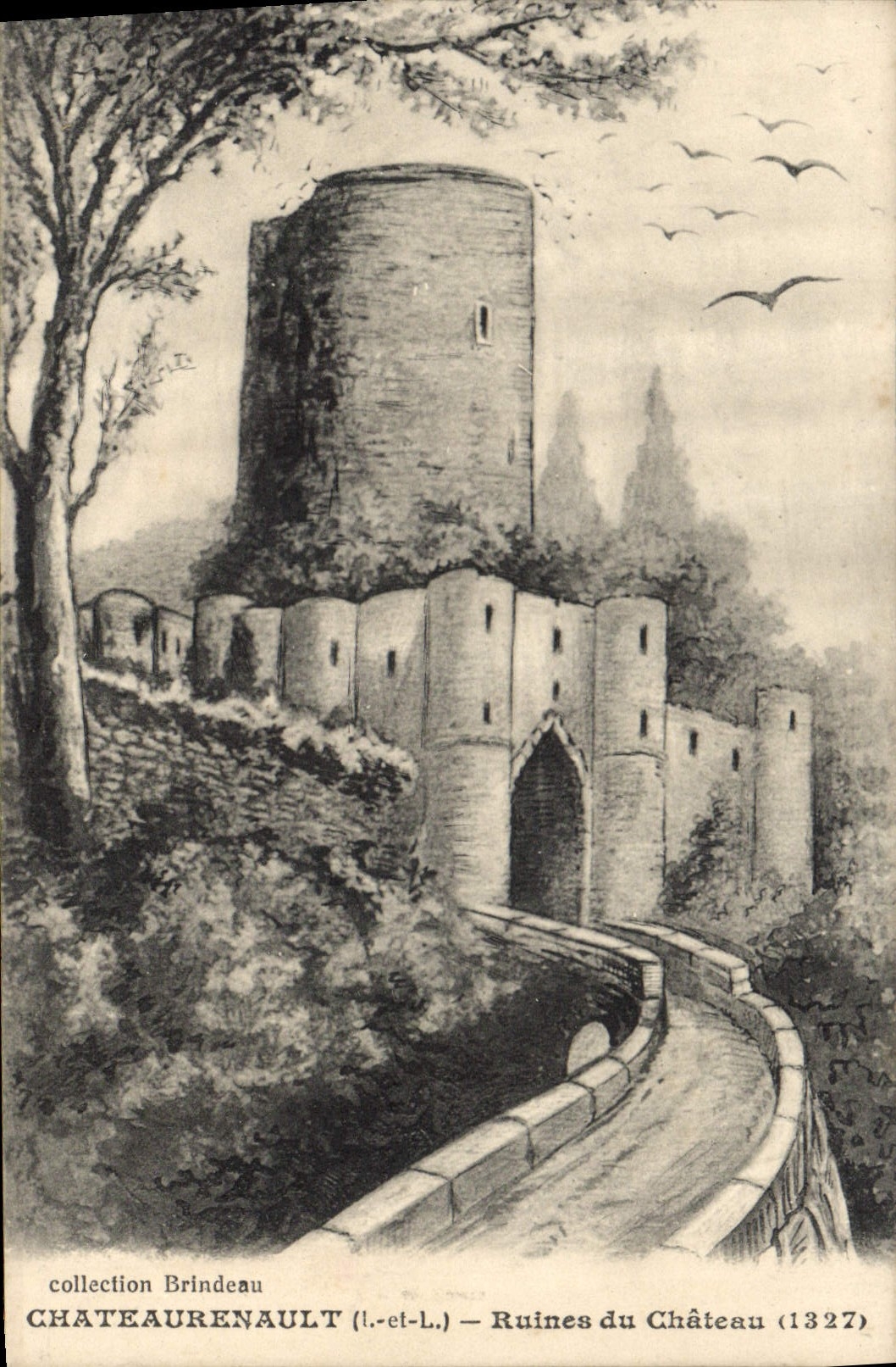 CPA Chateaurenault I et L Ruines du Chateau 