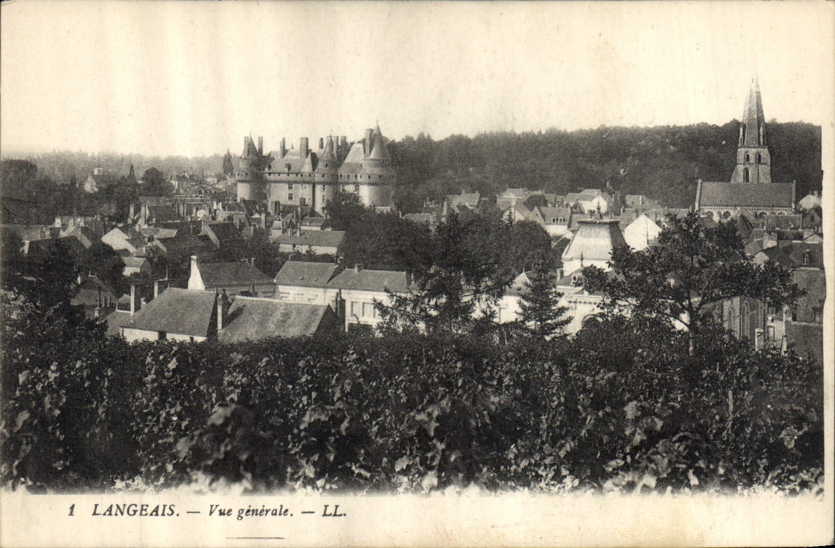 CPA Langeais Vue generale 