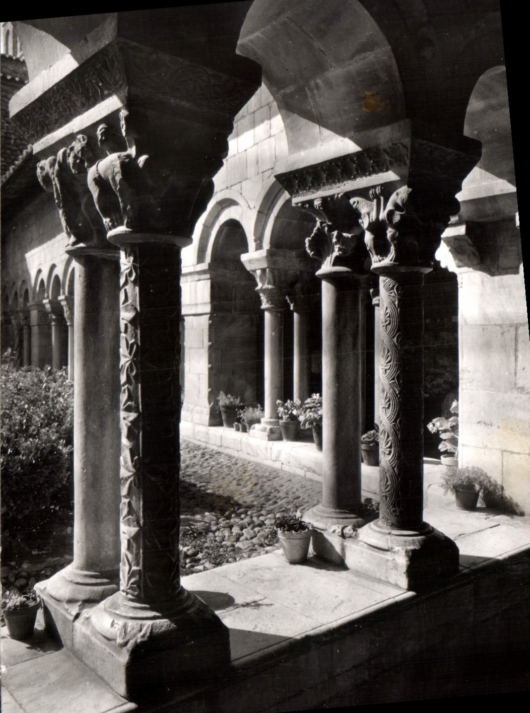 CPA Elne PO Colonnade du XIII siecle