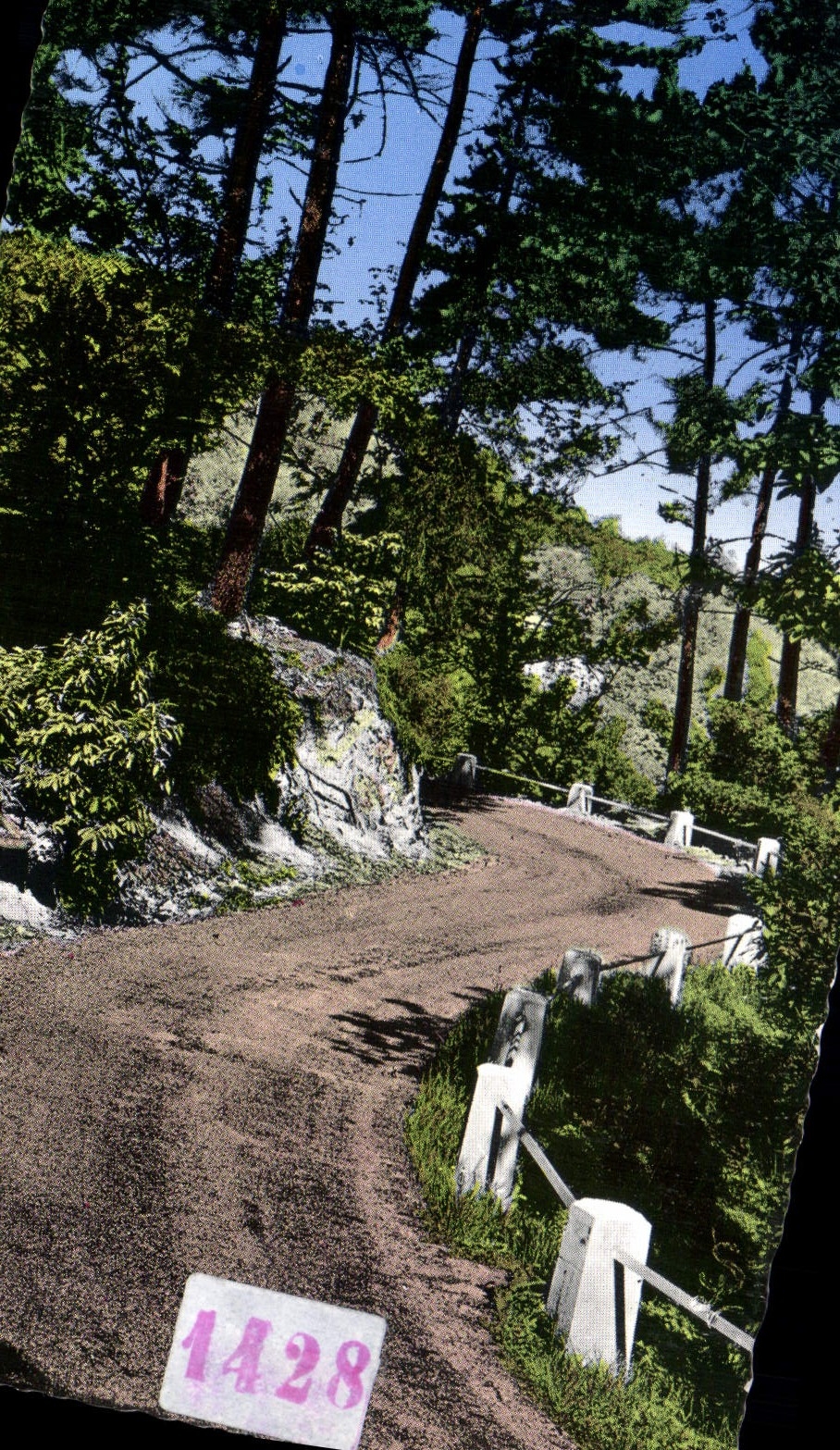 CPA Le Gard Touristique Lasalle Gard Lacets et sous bois de la route de Redares a Colognac