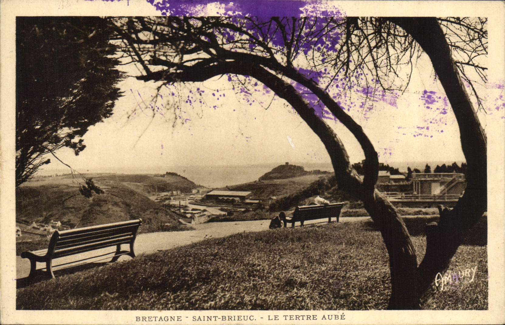 CPA Bretagne Saint Brieuc Le Tertre Aube 