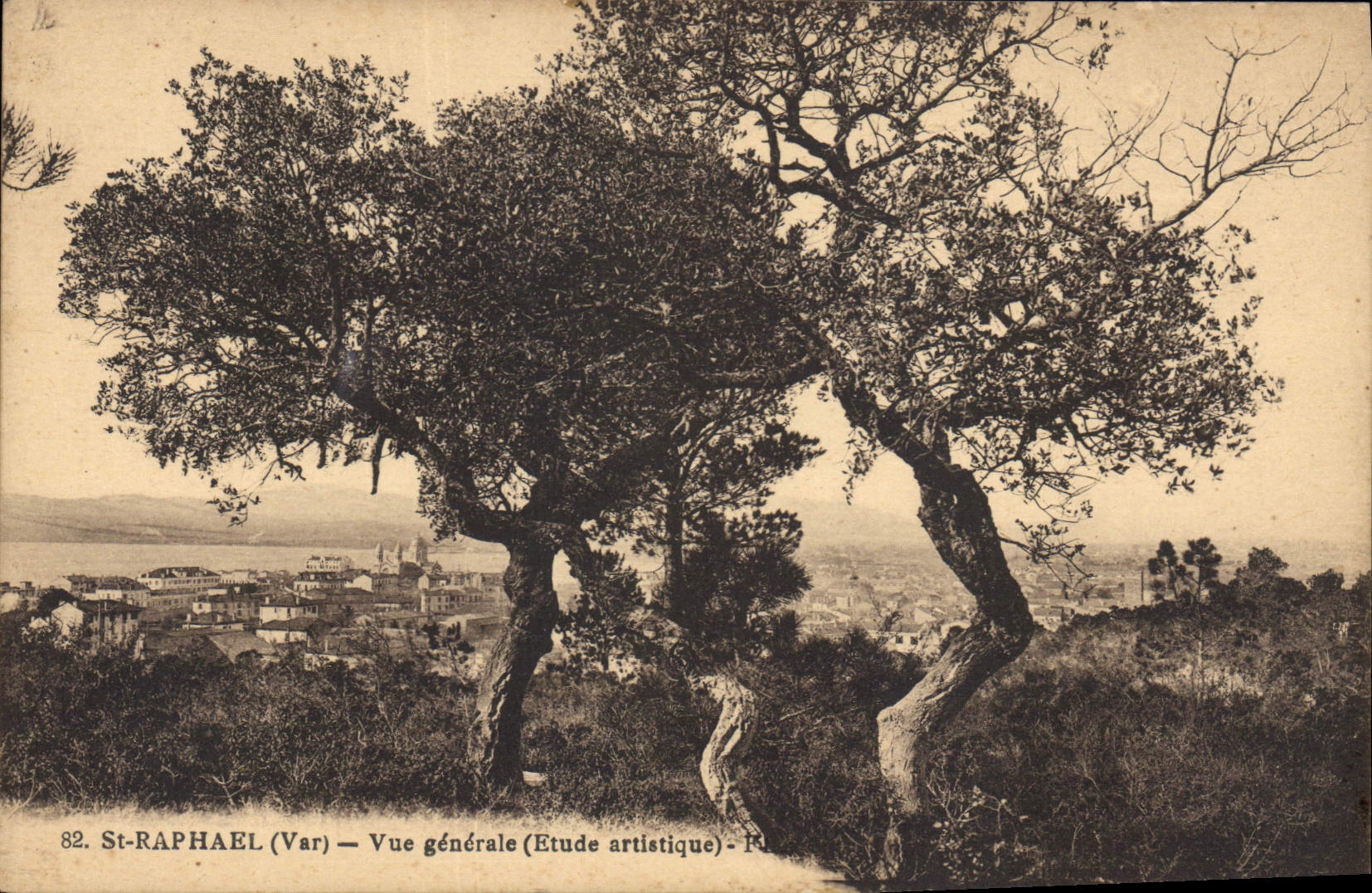 CPA St Raphael Var Vue generale Etude artistique 