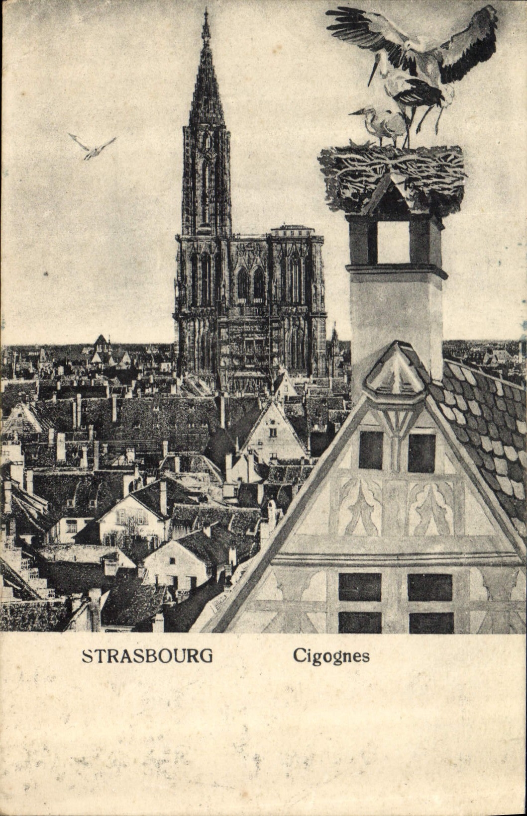 CPA Strasbourg Cigognes 