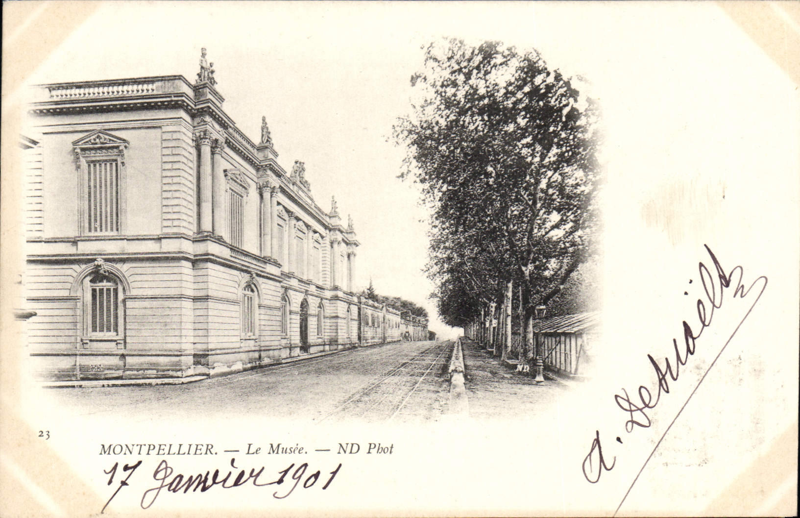 CPA Montpellier Le Musee 