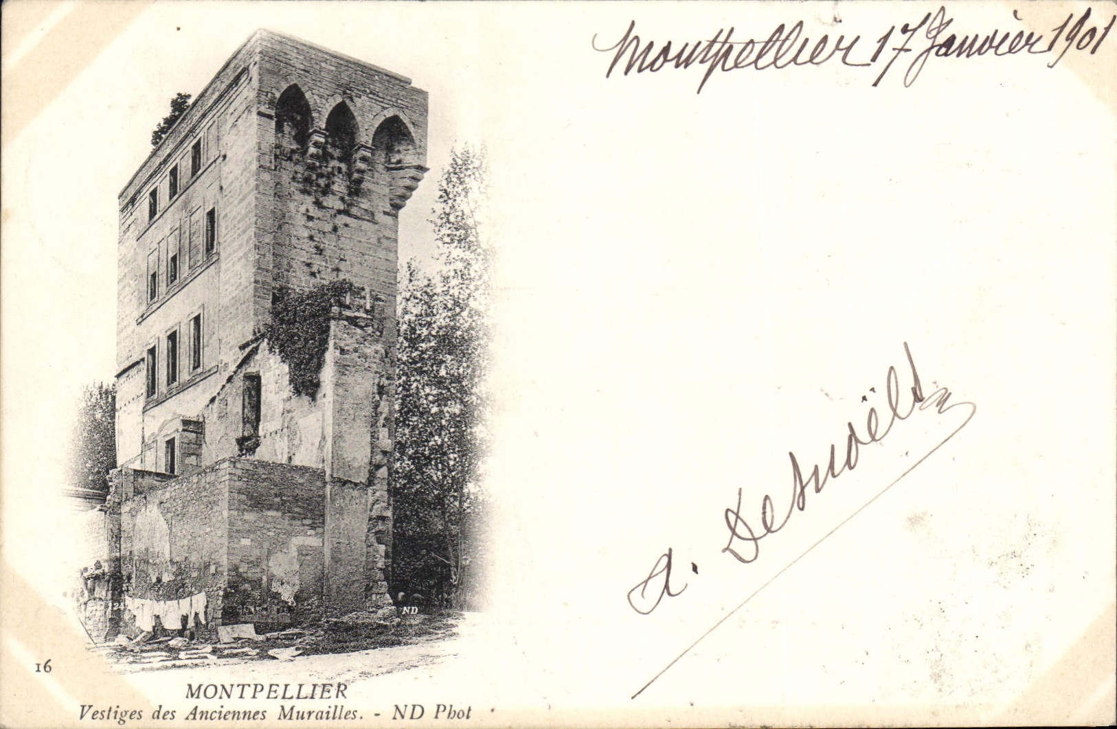 CPA Montpellier Vistiges des Anciennes Murailles 