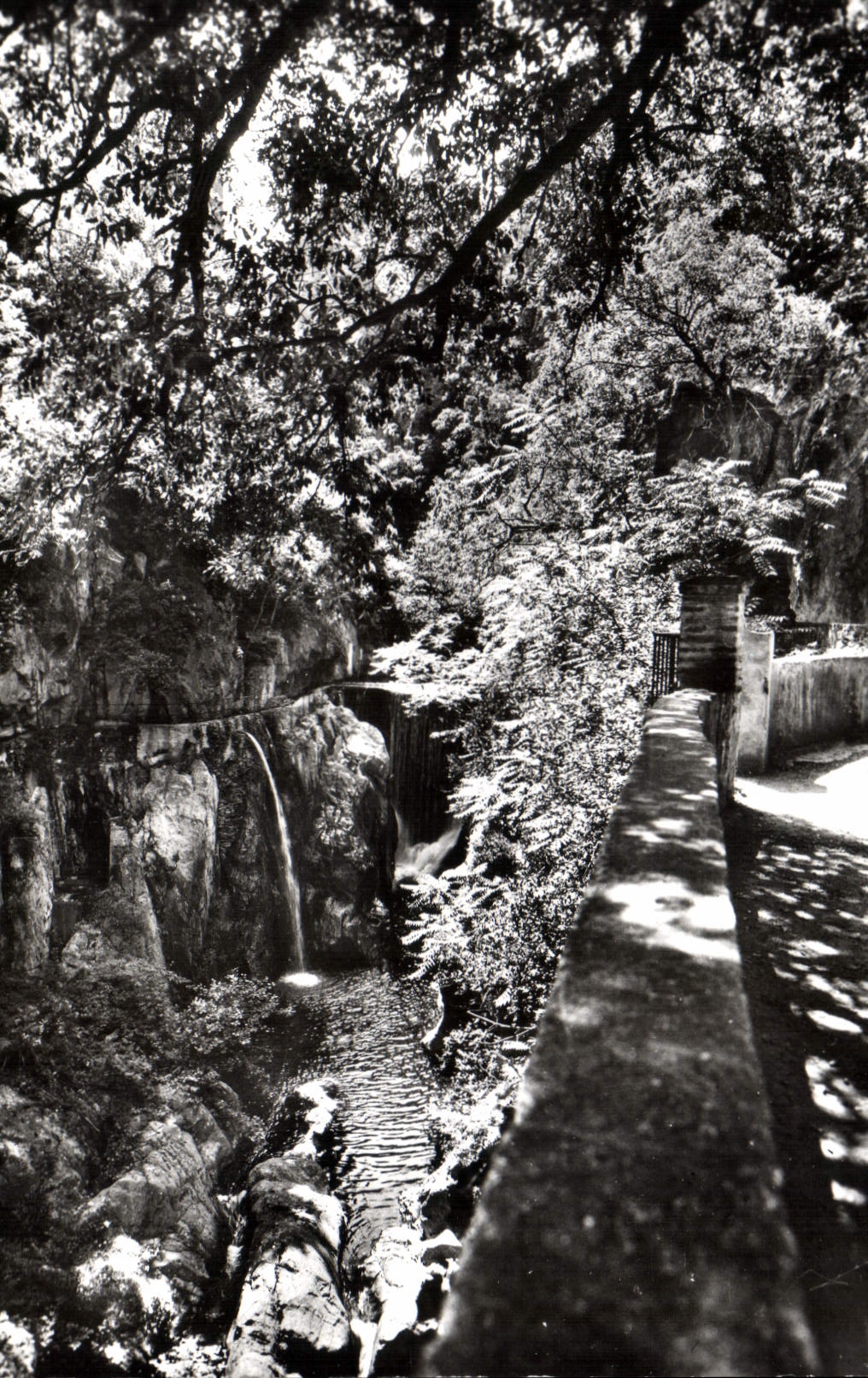 CPM Amelie les Bains P O Perle des Pyrenees Les Gorges du Mondony