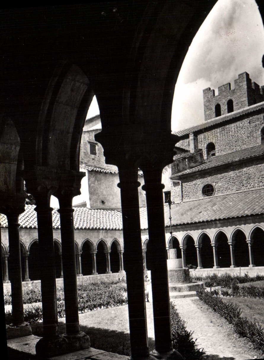 CPM Arles sur Tech P O le Cloitre 