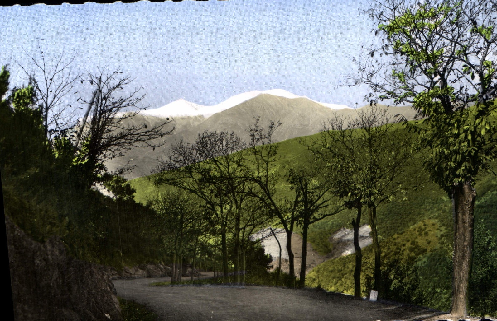 CPM Amelie les Bains P O Perle des Pyrenees Le Canigou enneige vu de la Route de Montalba