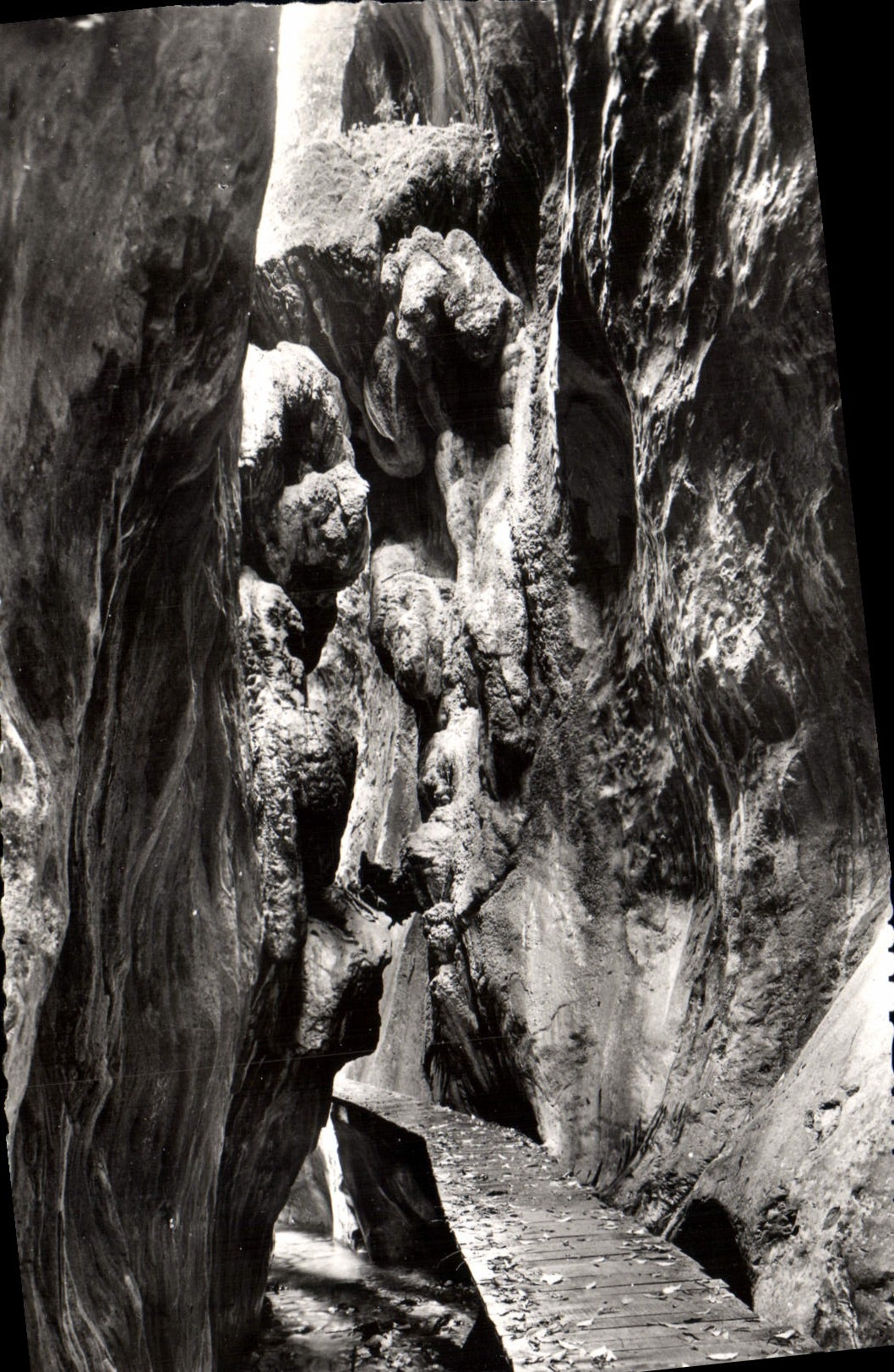 CPM Arles sur Tech P O Les Gorges de la Fou 