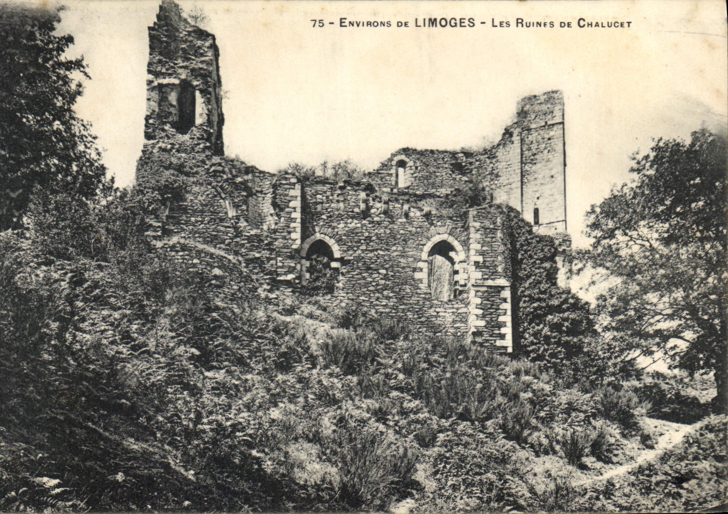 CPA Environs de Limoges les Ruines de Chalucet 