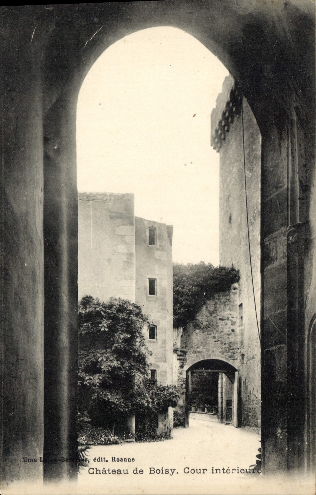 CPA Chateau de Boisy Cour interieure 