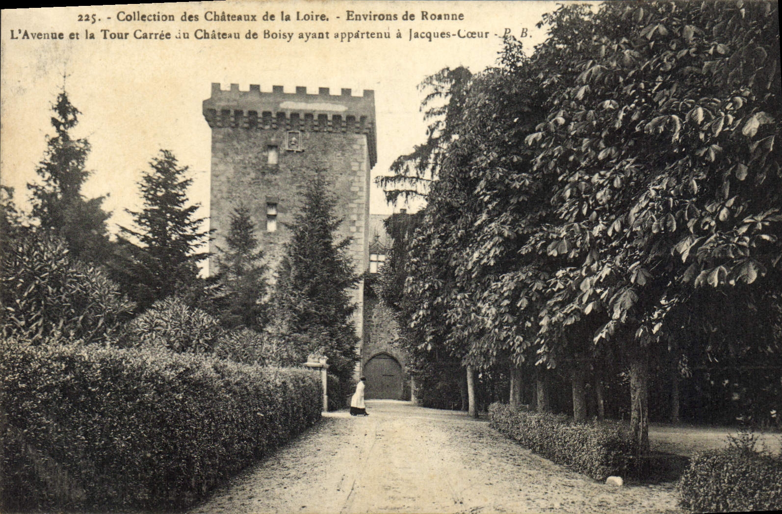 CPA Collection des chateau de la Loire Environs de Roanne l'Avenue et la Tour Carree du Chateau de B