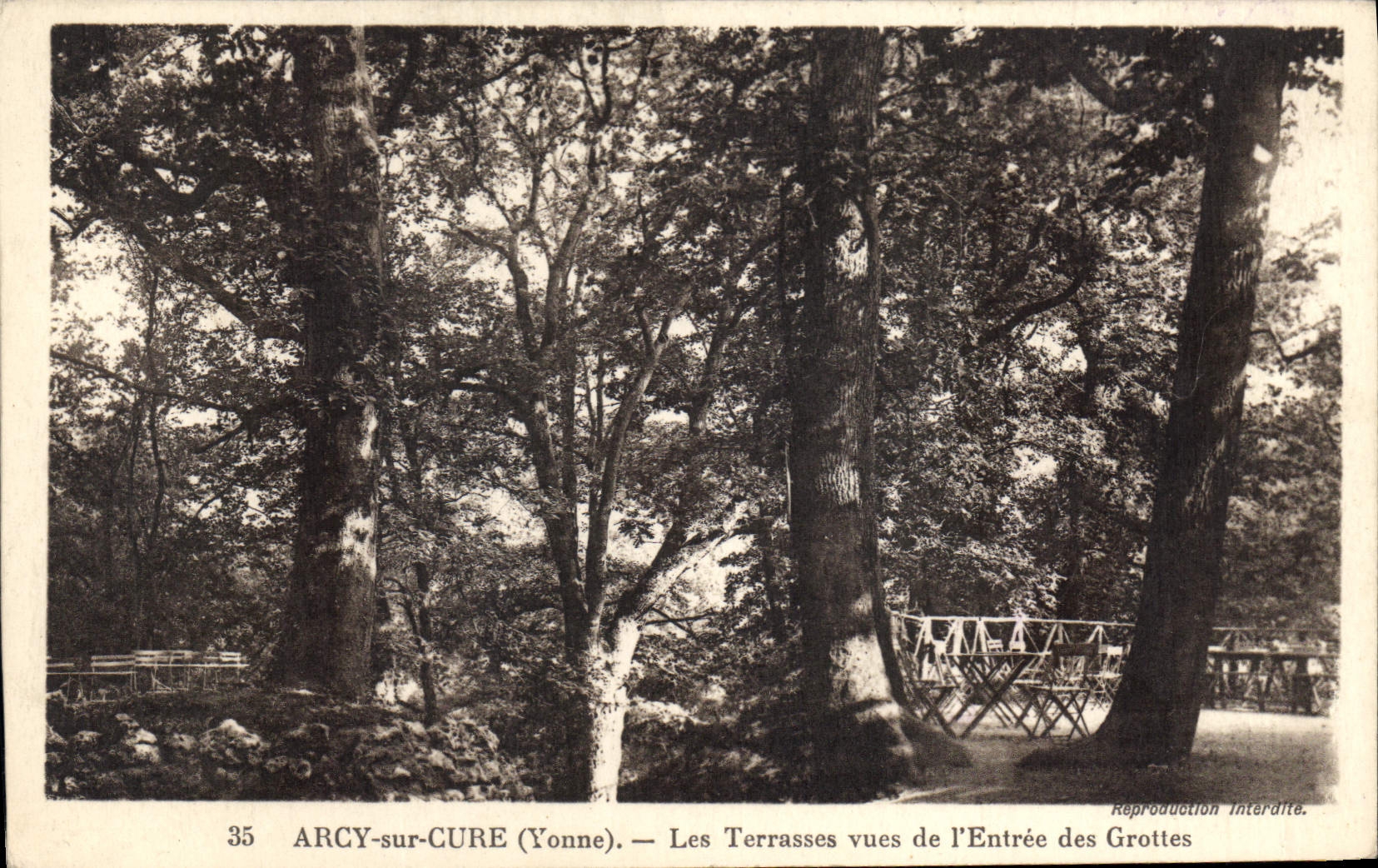 CPA Arcy sur Cure Yonne les Terrasses vues de l'Entree des Grottes