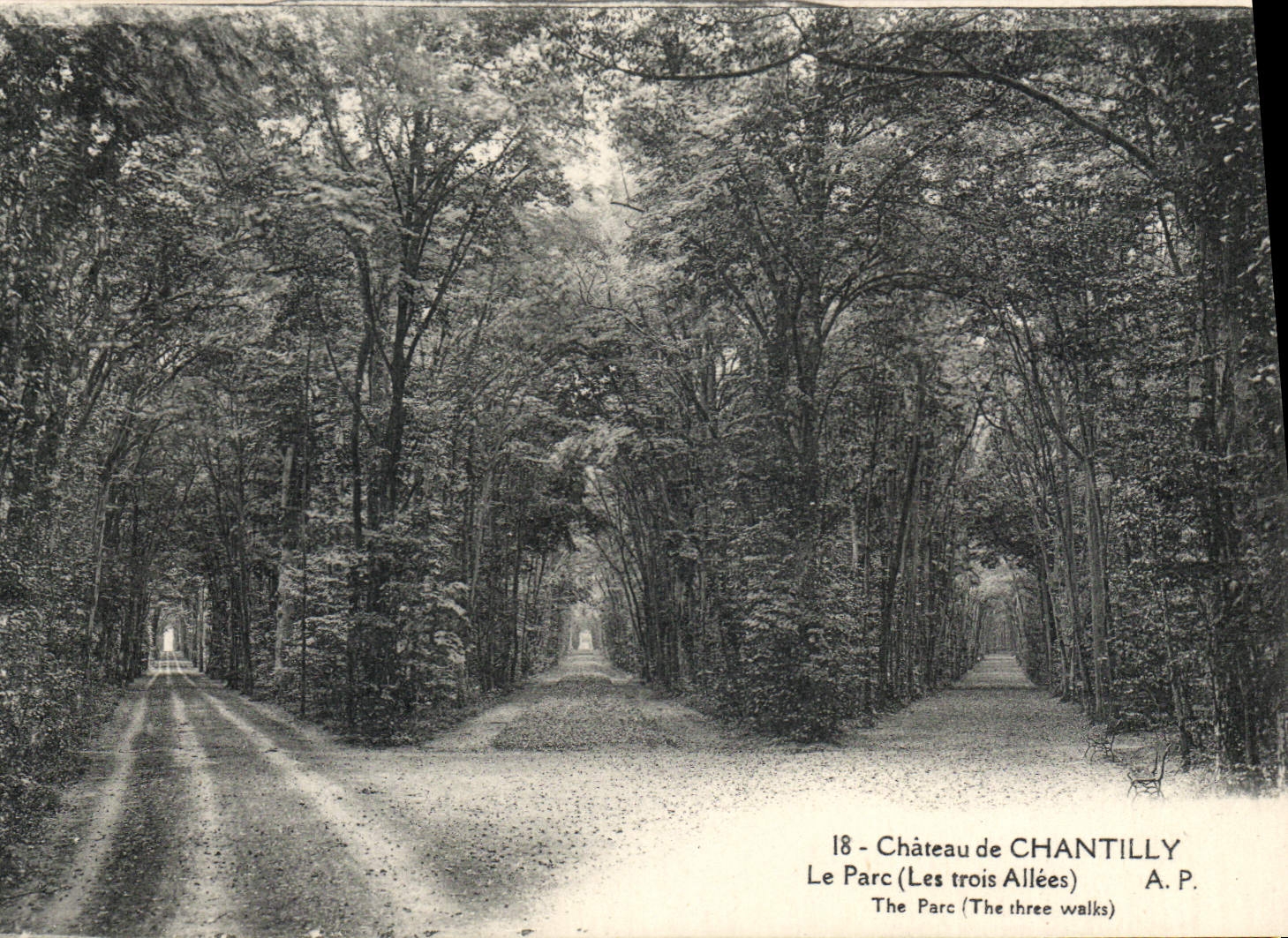 CPA Le Chateau de Chantilly le Parc les trois Allees 