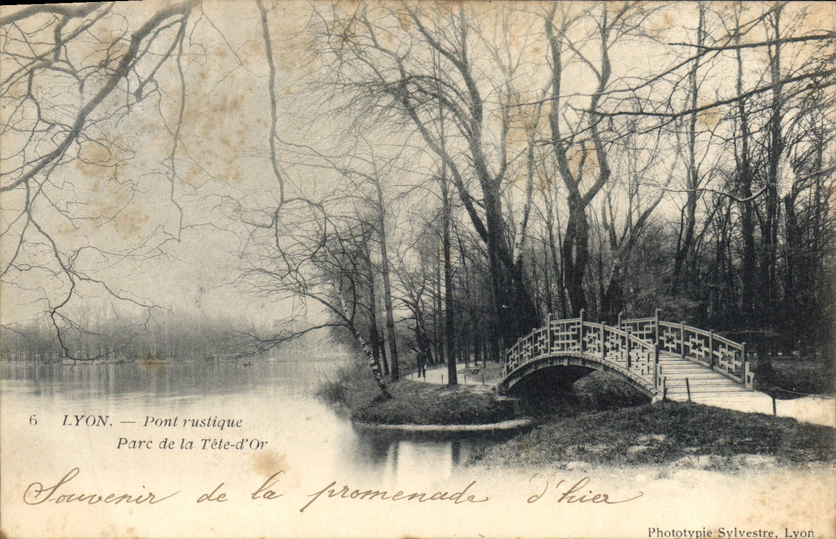 CPA Lyon Pont rustique Parc de la Tete d'Or