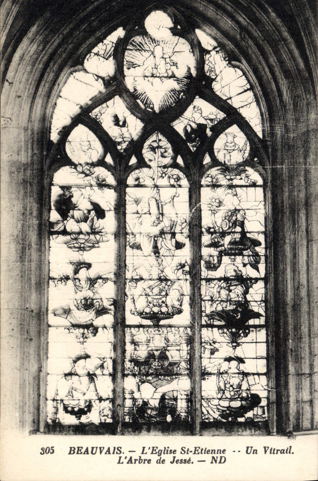 CPA Beauvais l'Eglise St Etienne Un Vitrail l'Arbre de Jesse 