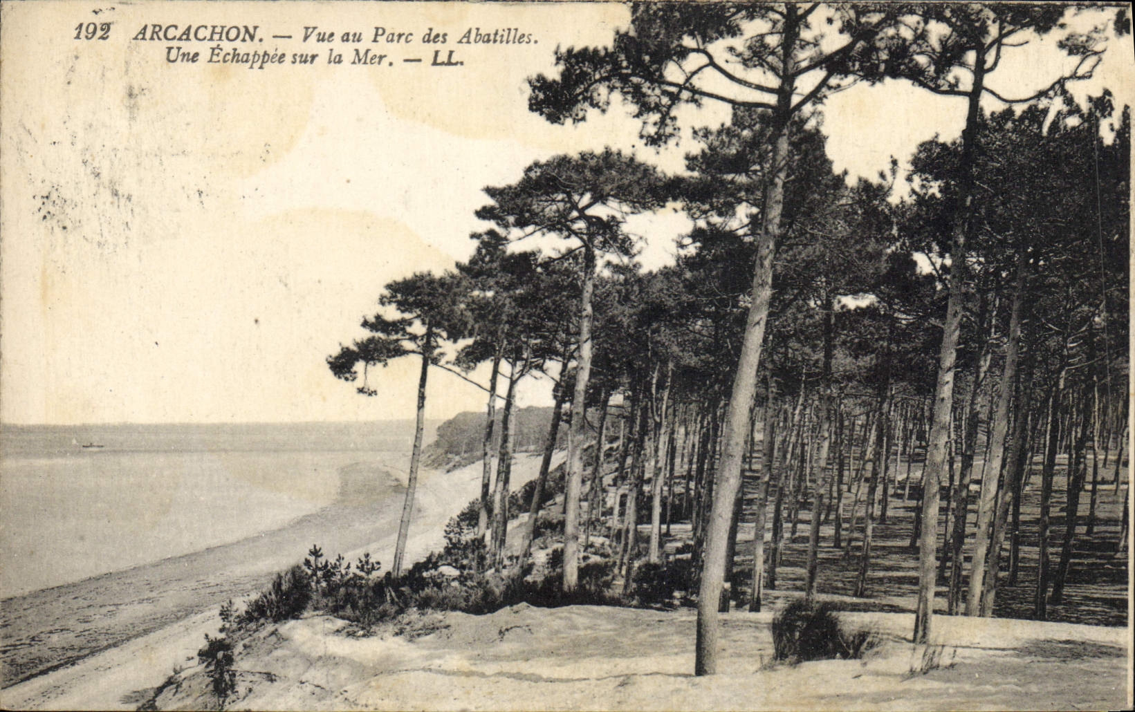 CPA Arhachon Vue au Parc des Abatilles Une Echappee sur la Mer 