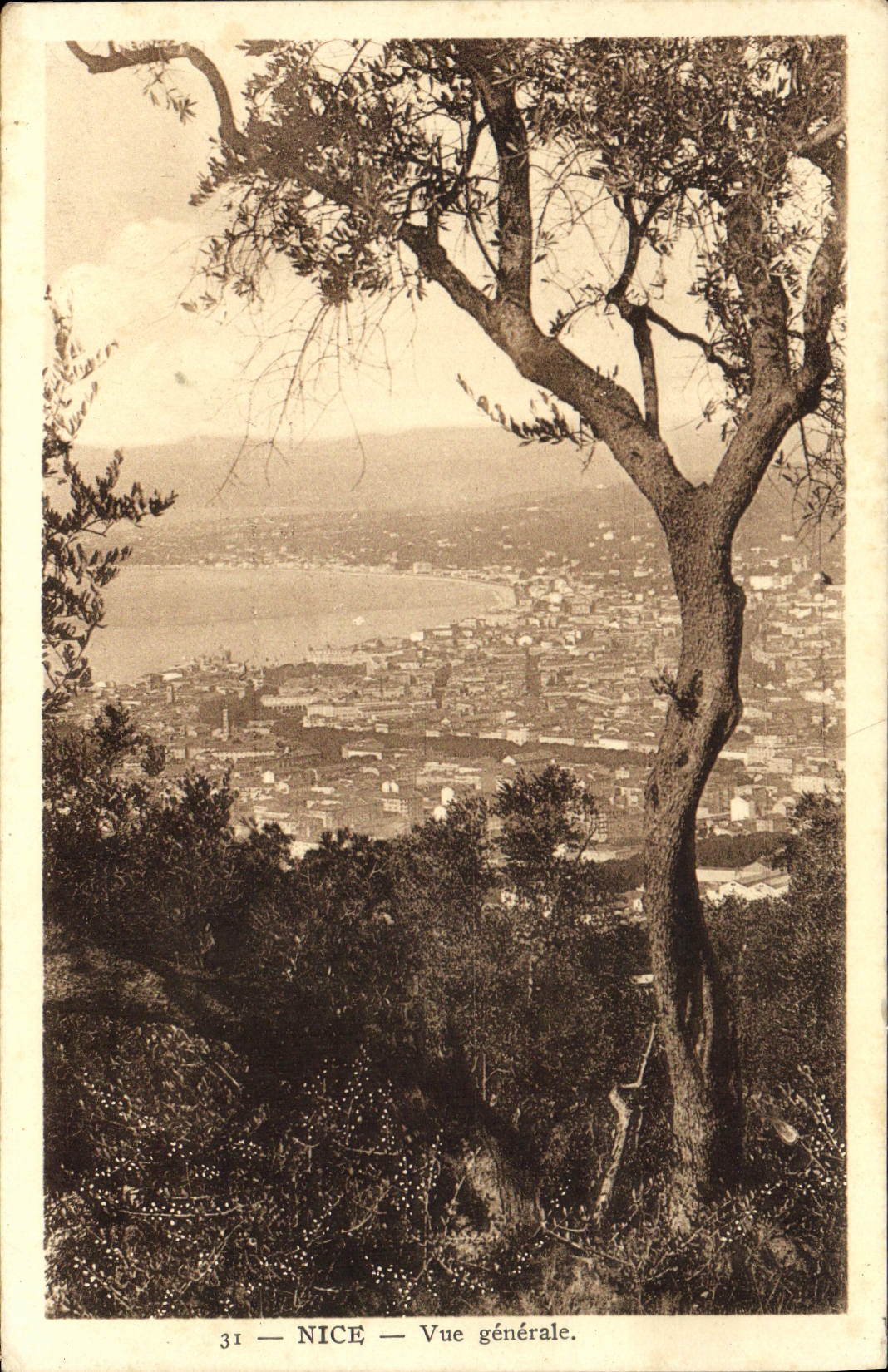 CPA Nice Vue generale 