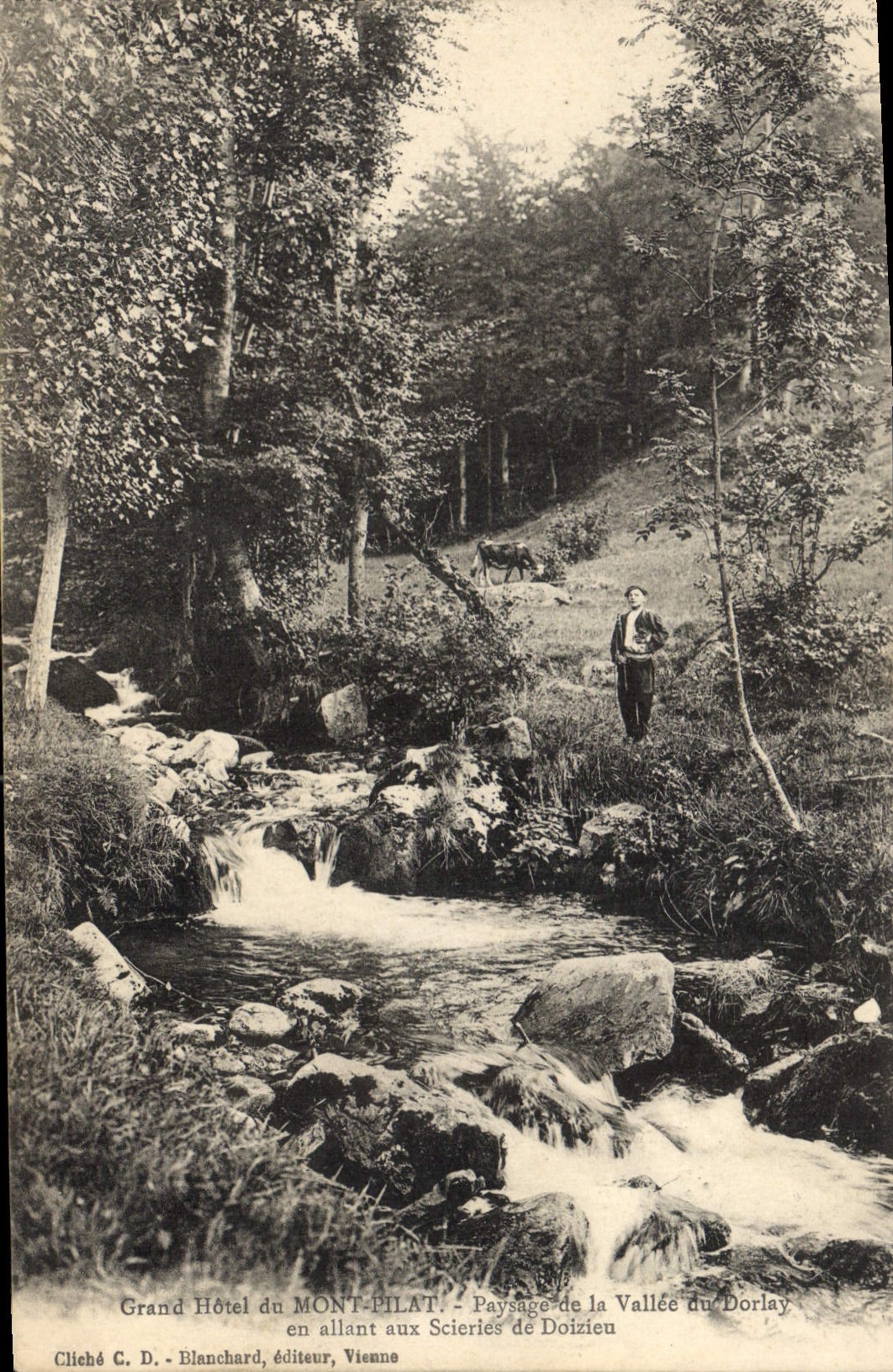 CPA Grand Hotel du Mont Filat Paysage de la Vallee du Dorlay en allanx aux Scieries de Doizieu 