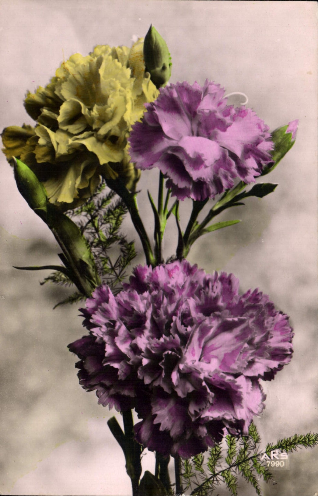 CPA Fantaisie Fleurs