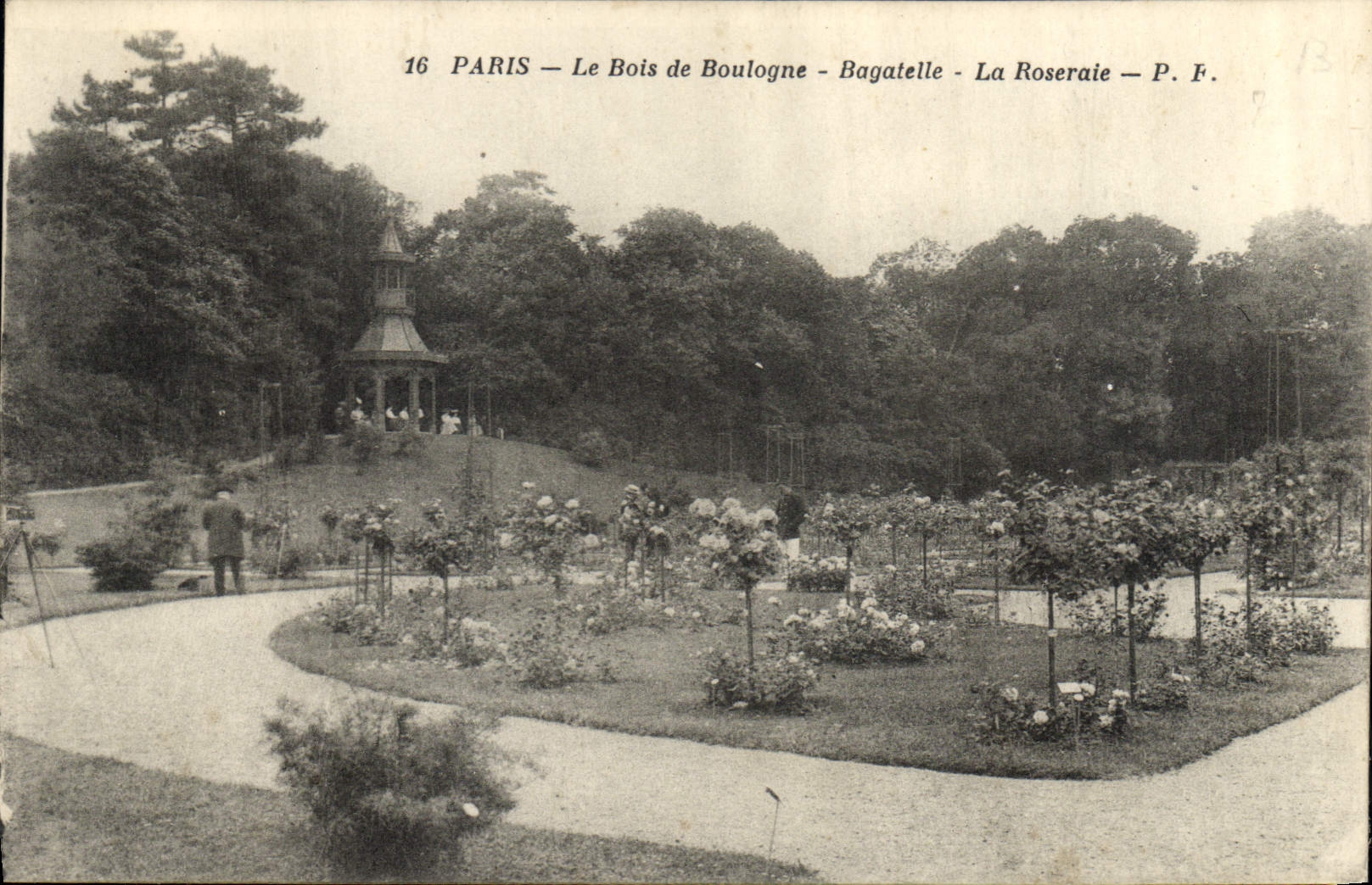 CPA Paris Le Bois de Boulogne Bagatelle La Roseraie 