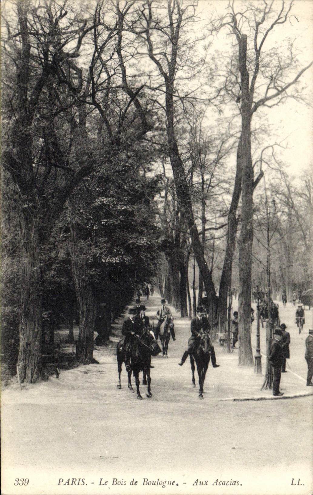 CPA Paris Le Bois de Bourlogne Aux Acacias 